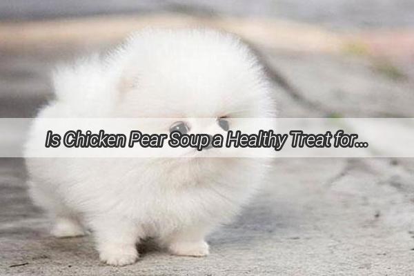 Is Chicken Pear Soup a Healthy Treat for Your Pup Find Out Now